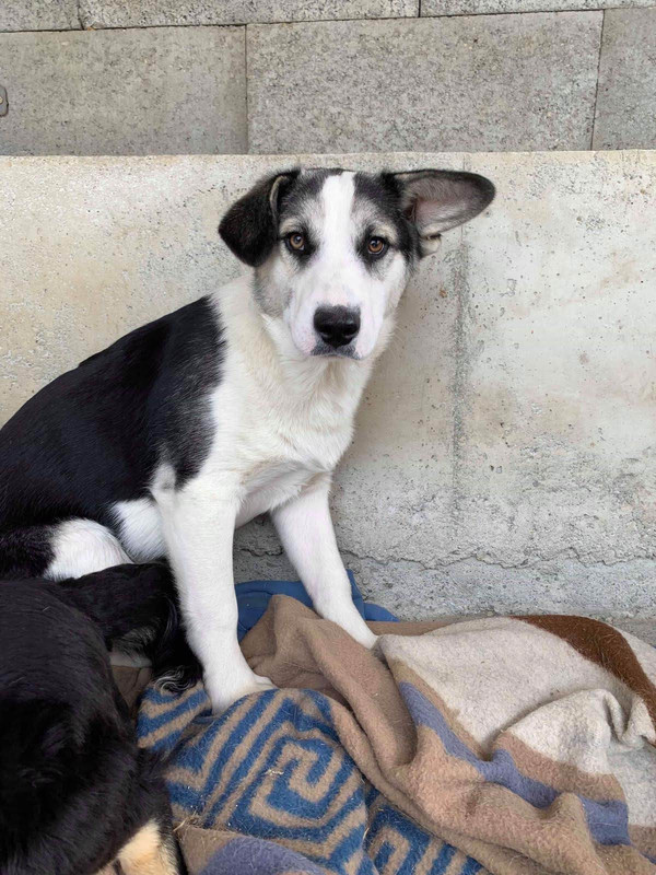 63C0F62D-ABCA-404C-B2C7-5053F23956A6