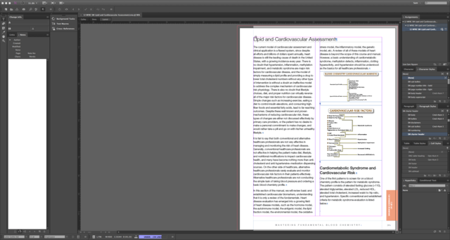 Adobe-In-Copy-screen.png