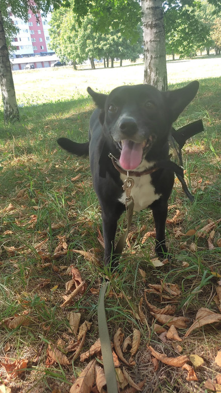 8BA58E6D-717D-484A-809C-791B5092DB07