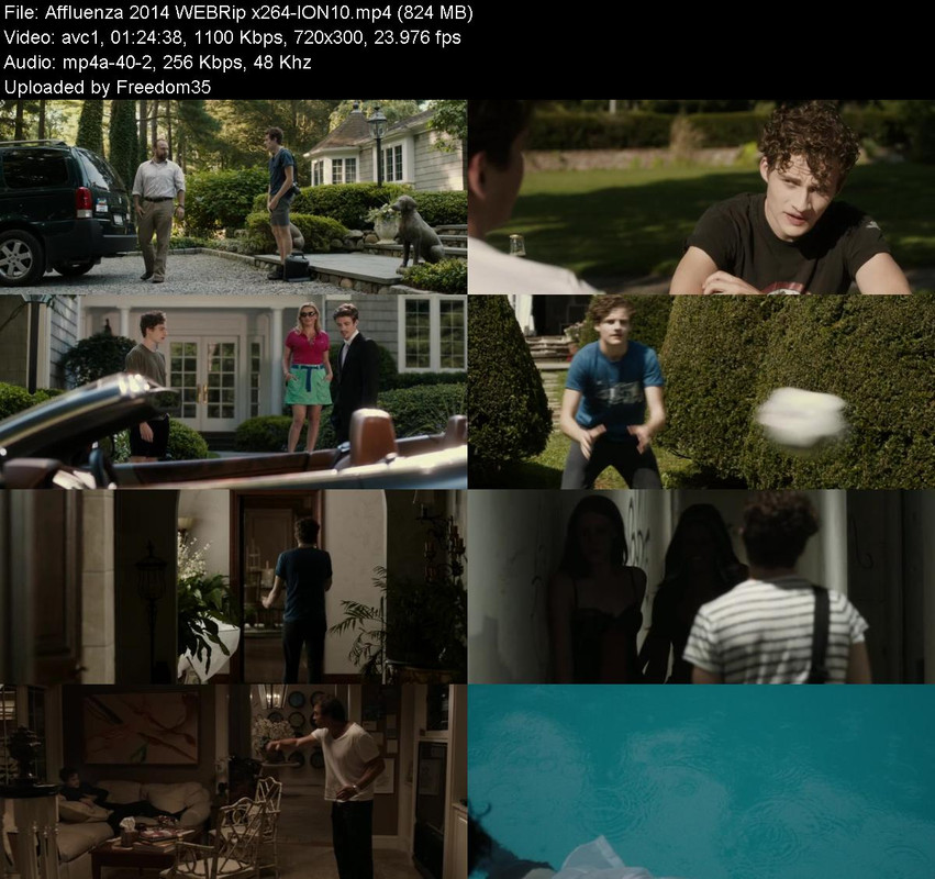 Affluenza-2014-WEBRip-x264-ION10.jpg