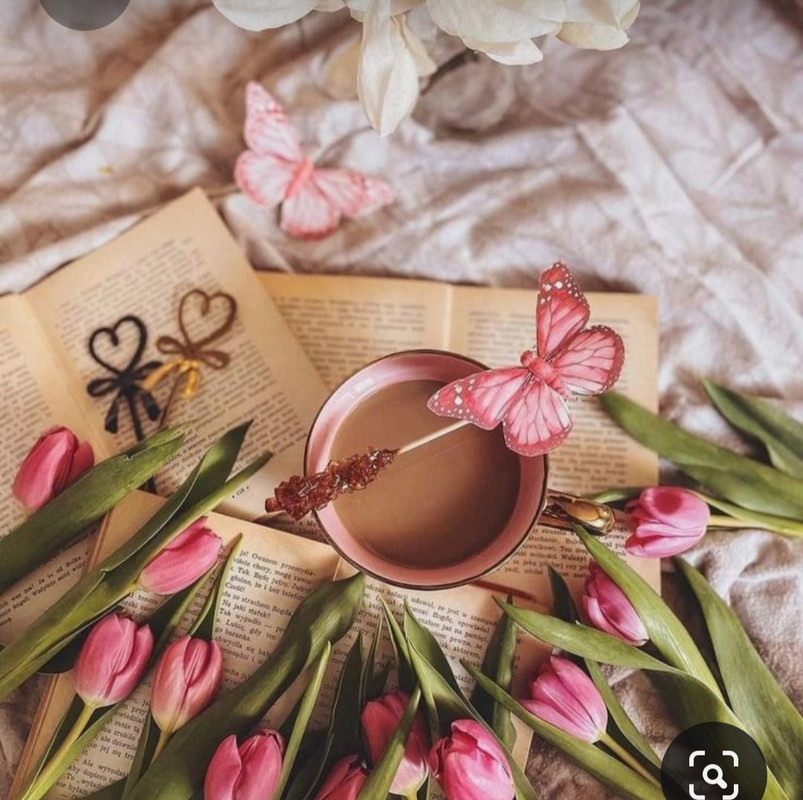 Screenshot_20230420_235048_Pinterest