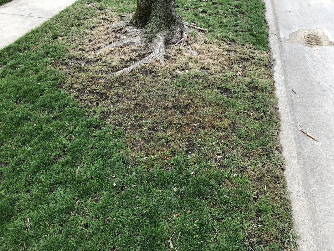 28DCB148-FBD3-463A-B050-7DA6211D3096