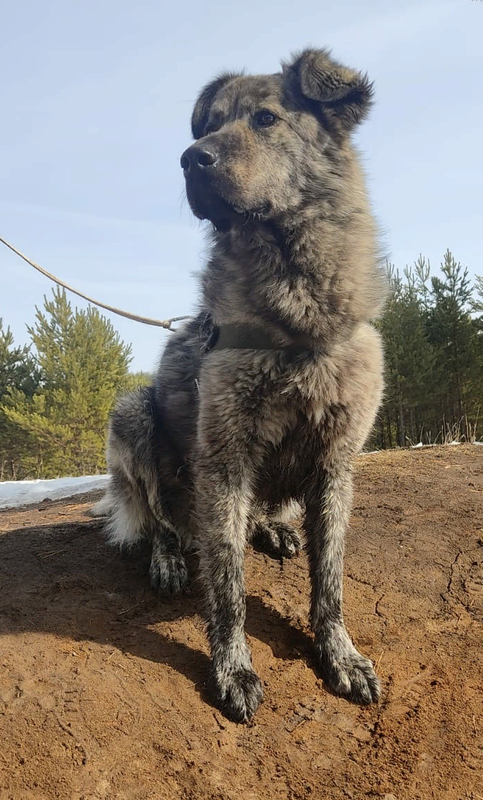 загруженное (2)