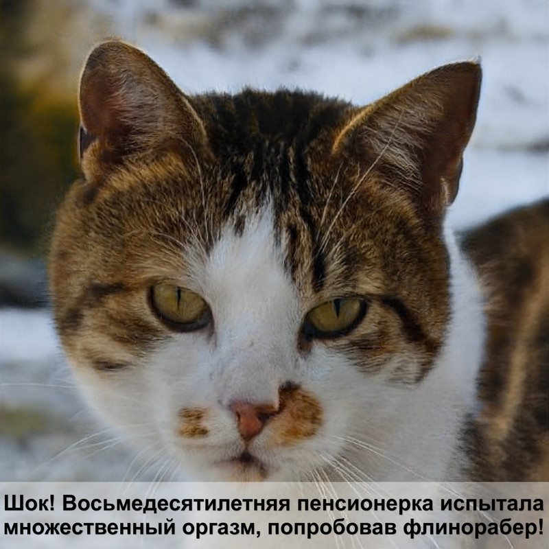 кошки и дети