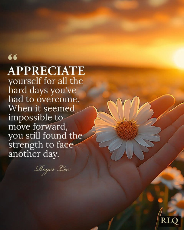 FB-IMG-1771252446082