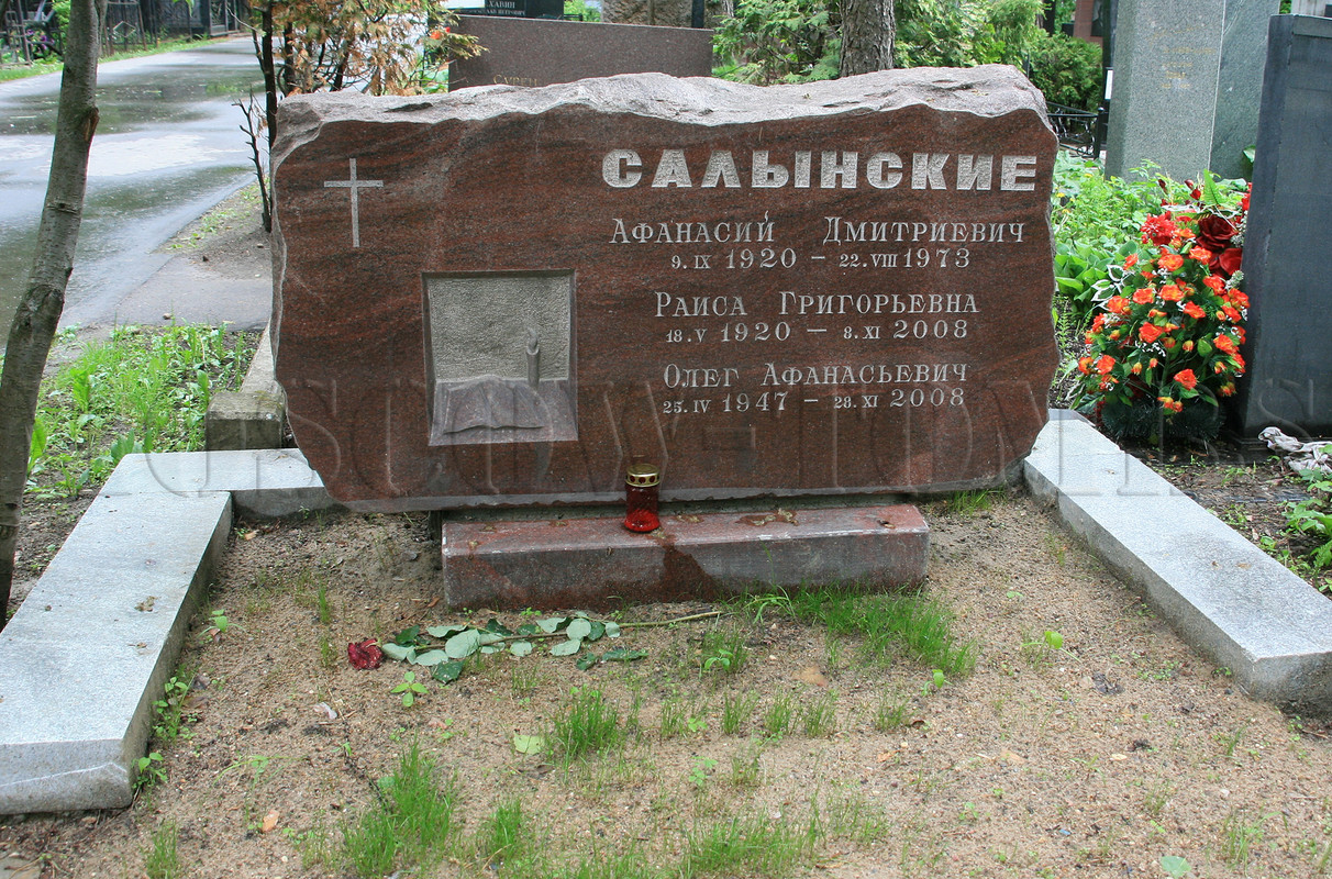 salynsky-ad