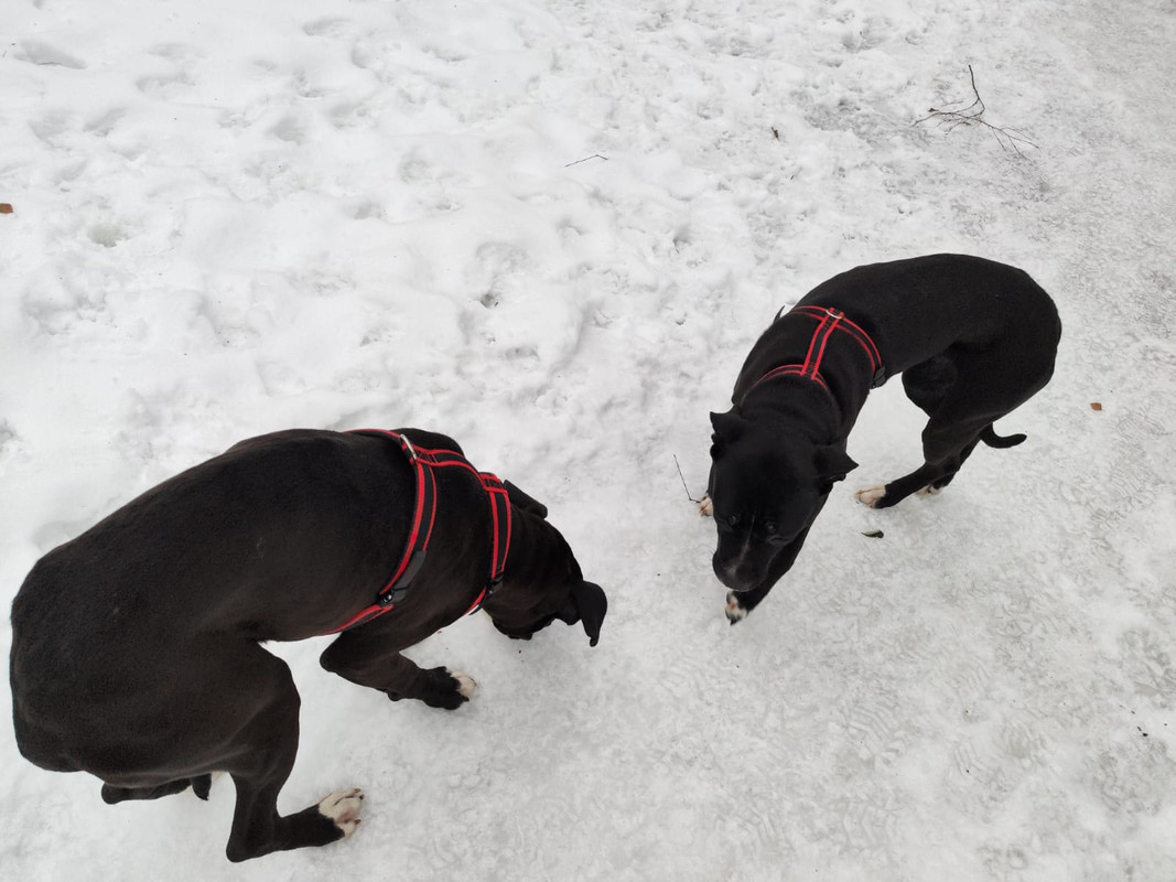 897FEBE4-DF66-4BEC-AA03-9577E8D364BF