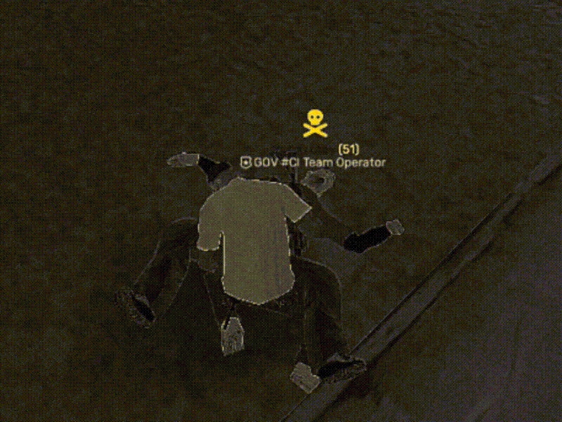 5.gif