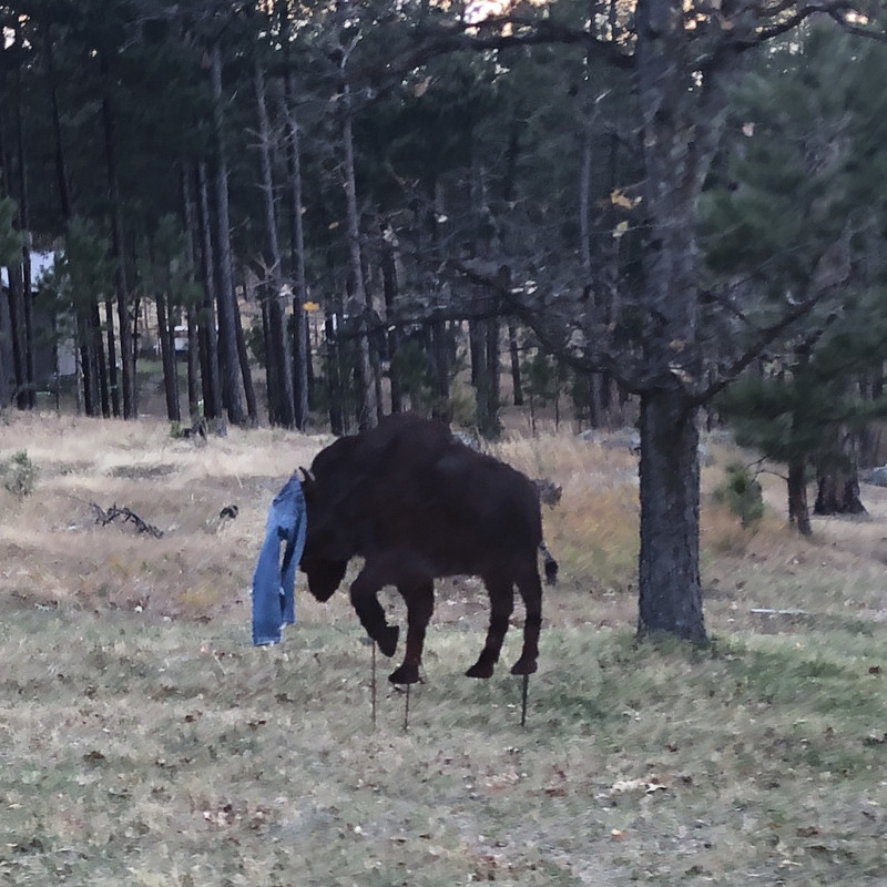 8921491-D-0284-44-E7-9-EE0-43924373-F700