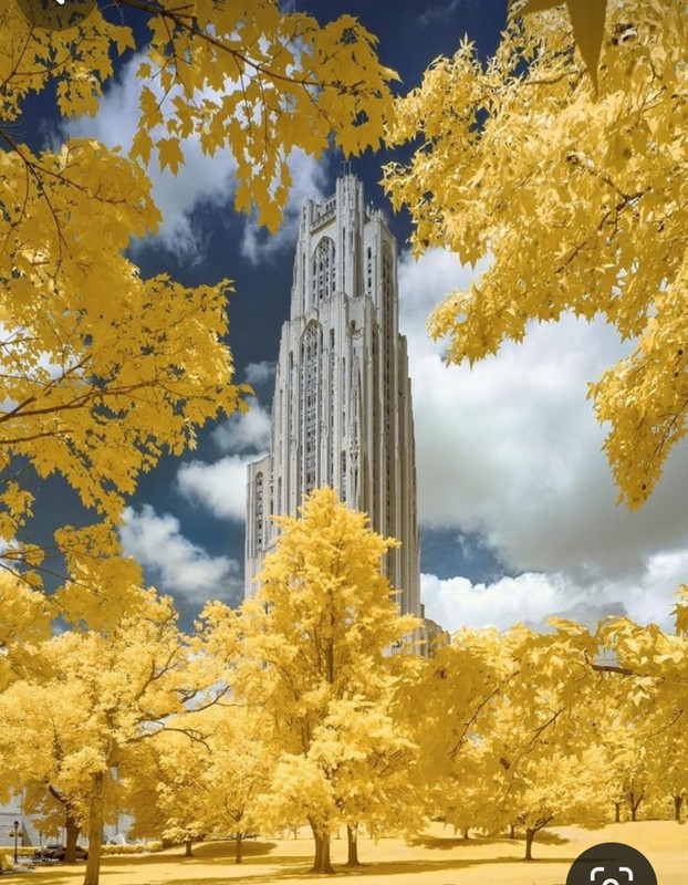 Screenshot_20231206_182724_Pinterest