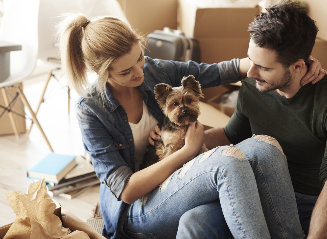 ¿Por qué los jóvenes no quieren hijos pero sí mascotas?