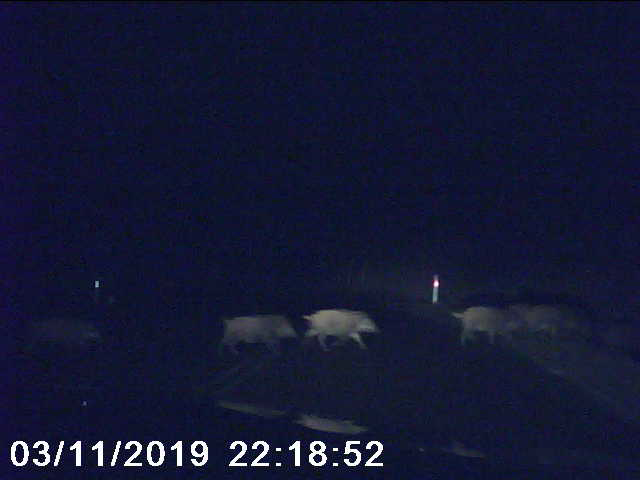 [Obrazek: 5559ebc02b2acafc.png]