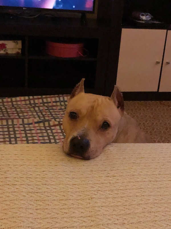 DA488F04-A1E0-44A7-816D-30D6496AEBB6