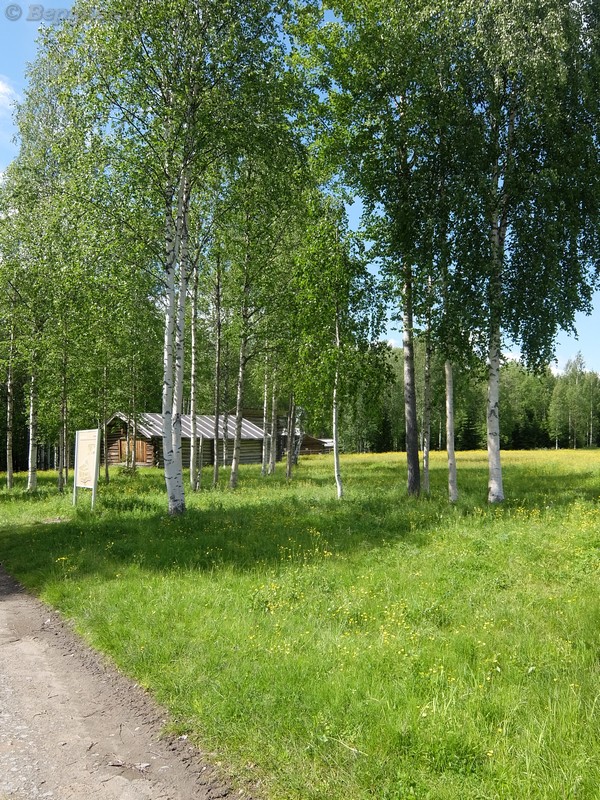DSCF7915