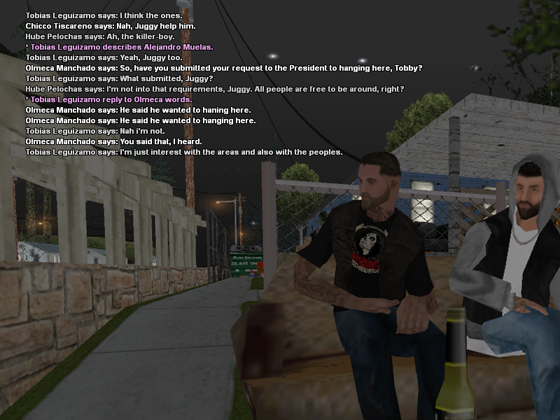SSRoleplay375.png