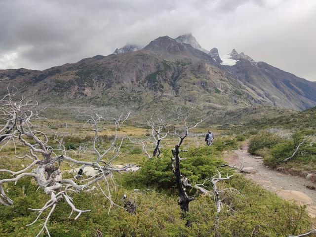P.N.TORRES DEL PAINE. VALLE DEL FRANCES - ARGENTINA INFINITA II/ TORRES DEL PAINE (3)