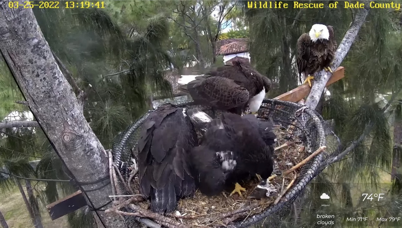 B21BB5FC-6939-4FCD-BF9E-4FC695BFAA26