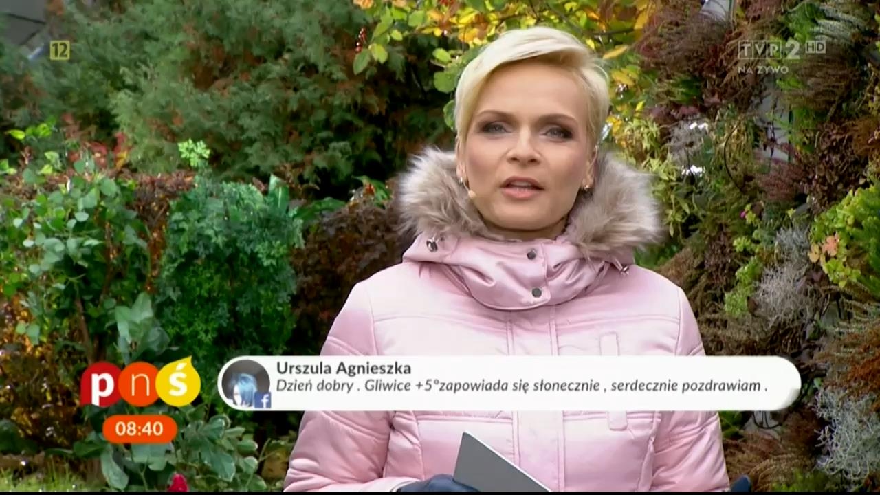 V0323_20181029_124930.mp4_snapshot_02.40_[2018.11.10_19.22.19]