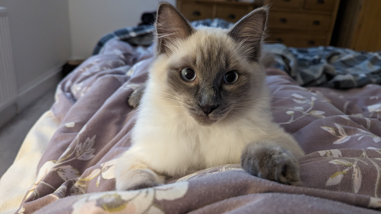 PXL_20240120_082651058