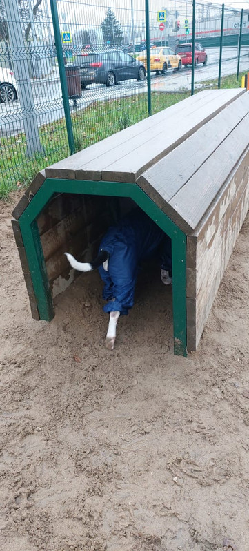 D6BA0A0D-ADBE-454A-93EF-6162D9DC9C4C