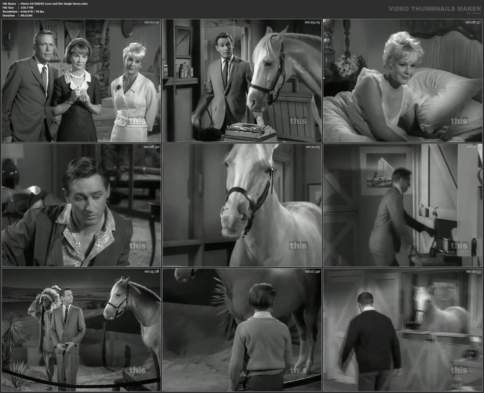 Mister Ed S06E05 Love and the Single Horse.mkv