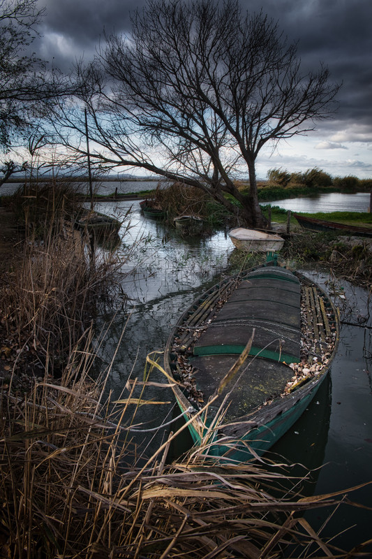 despues del temporal
