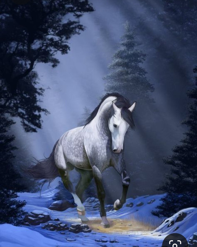 Screenshot_20230524_124437_Pinterest