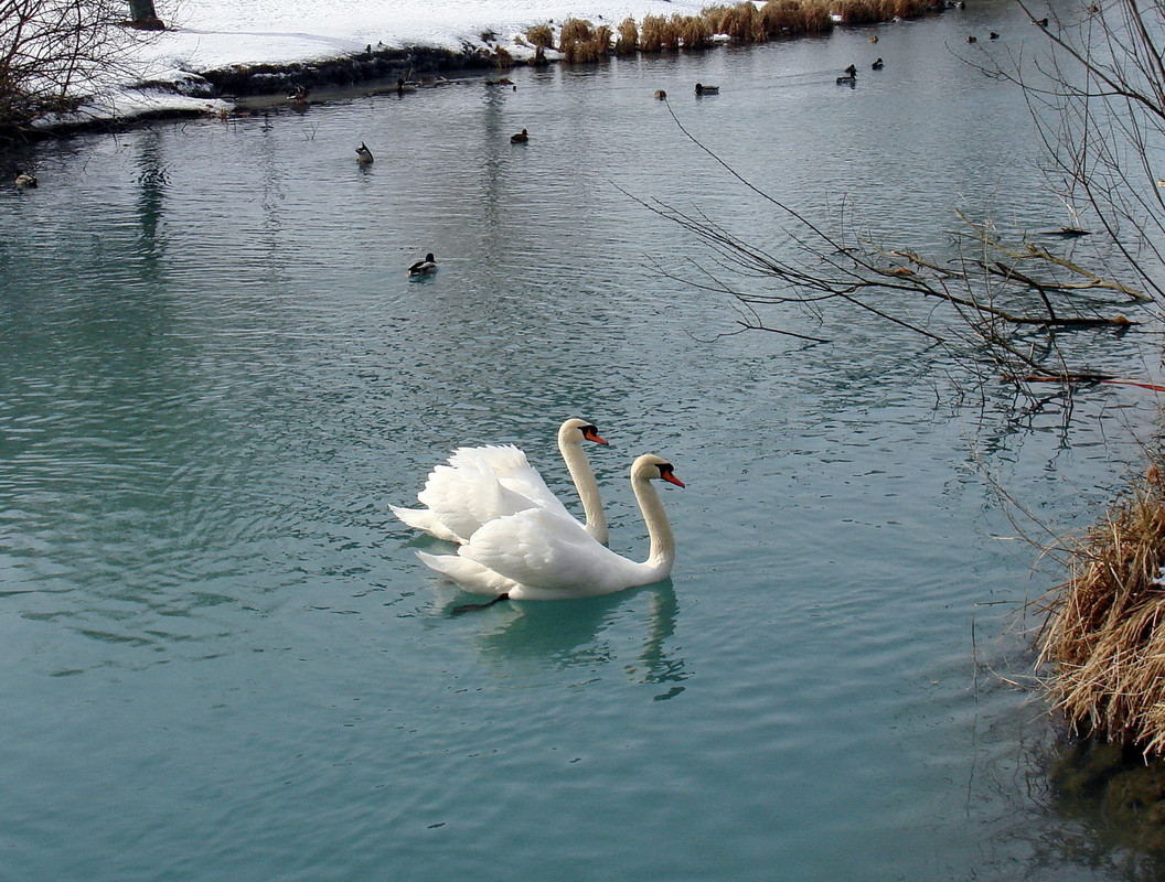 DSC00150 — копия