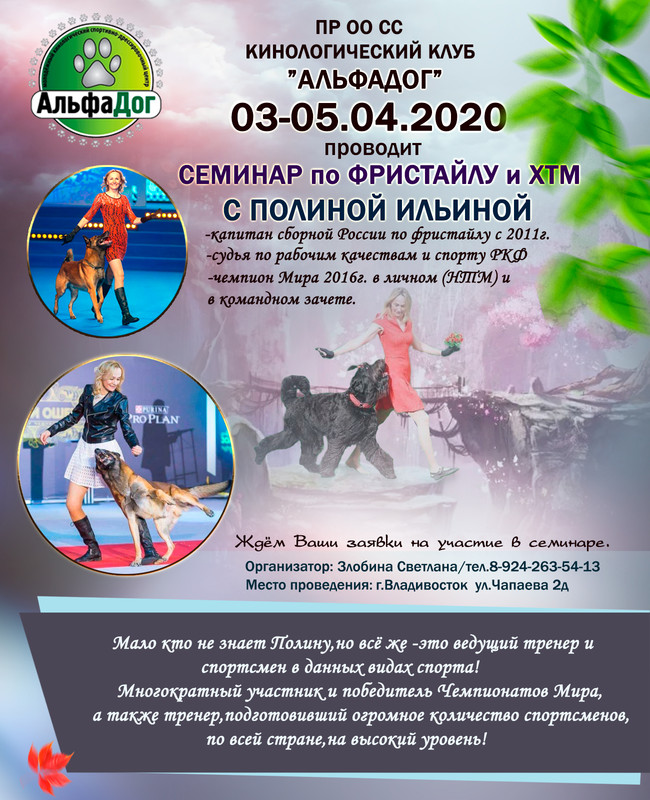 афиша альфадог1