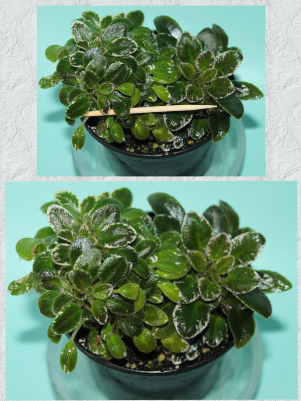 photostudio_1600244089192