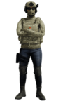 [IMG]