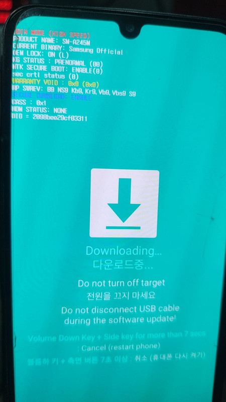 photo_2025-08-19_16-25-58