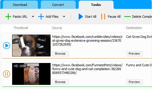 Social Media Downloader 7.3.5