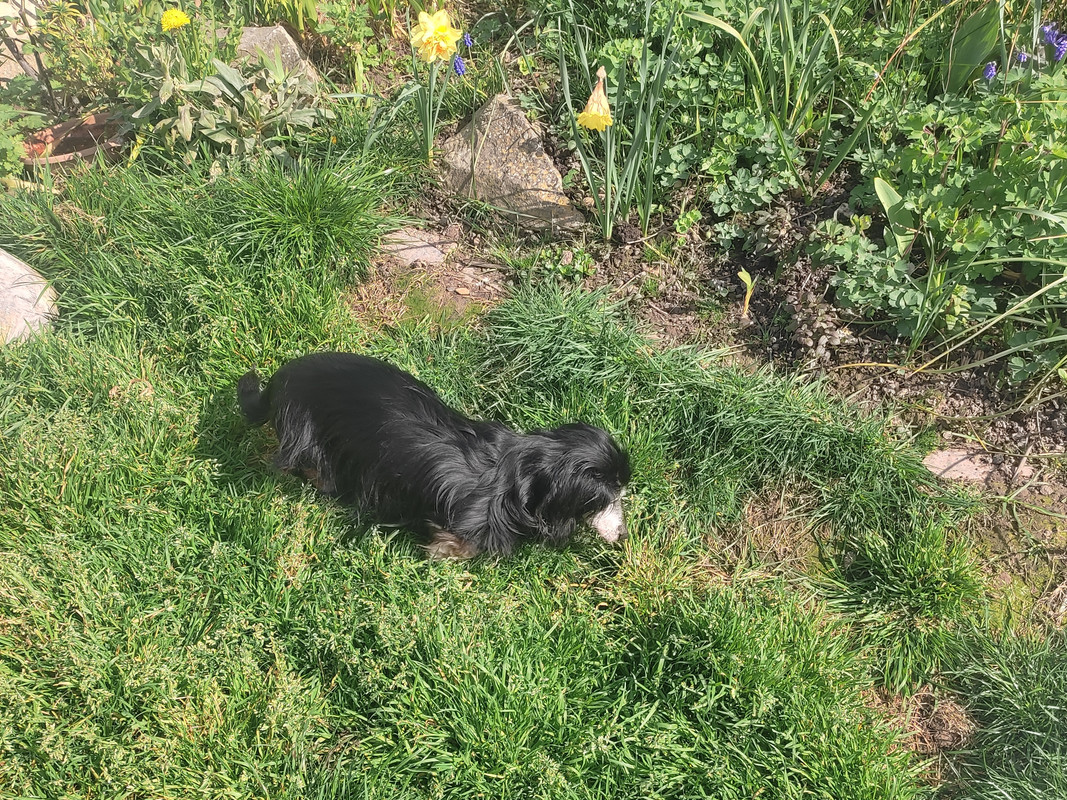 [Image: IMG-20250326-114248.jpg]