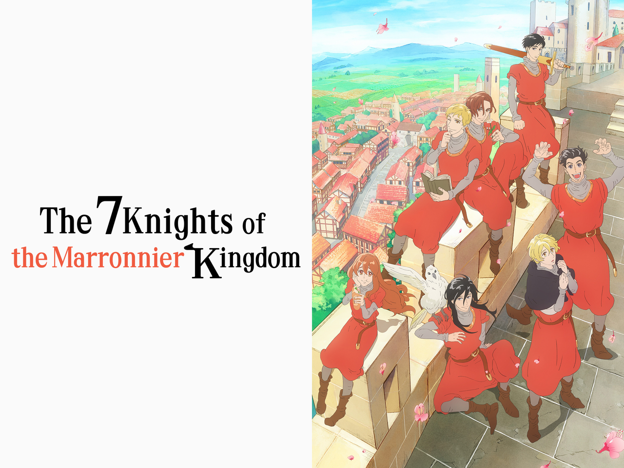 Movie cover image