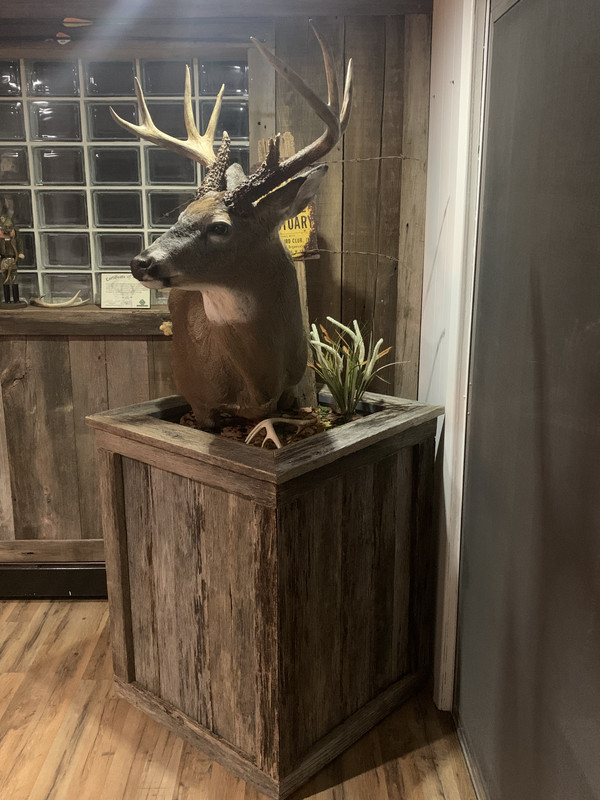 678656B0-1FE2-4715-B048-1A348A65FC3A