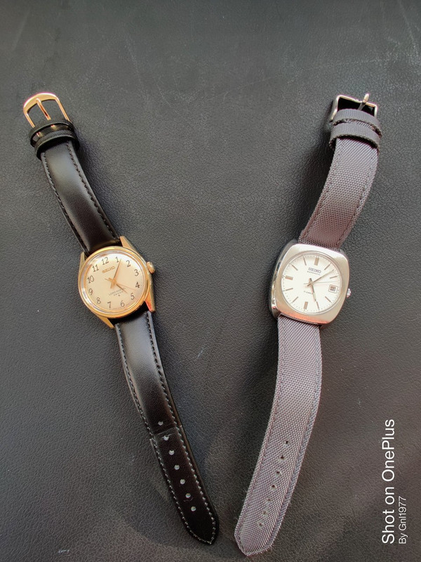 IMG_20220302_170656__01