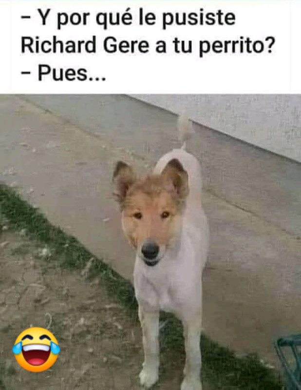 [Imagen: richard-gere.jpg]