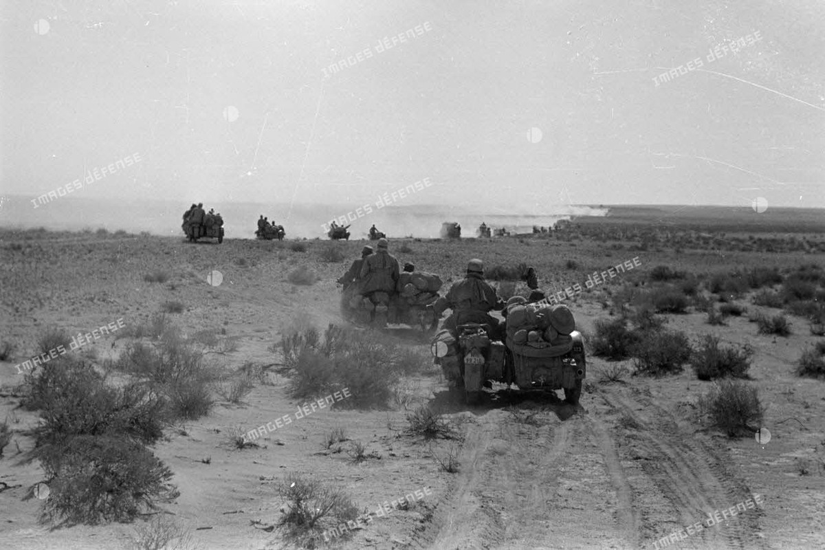 Side-cars qui roulent dans le désert 1941 (4)