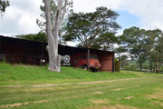DSC-0200
