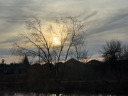 IMG-0961