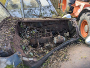 PXL-20241011-144618556.jpg