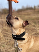 IMG_20230416_173305_433