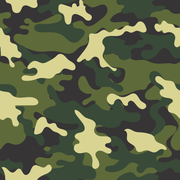 [Image: CAMO-SVG.png]