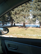 [Image: IMG-20241207-115934207-BURST001.jpg]