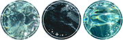 https://i.postimg.cc/z3PFhhG3/Divider-Water.png