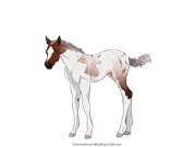 44BB704A-9A02-4EEF-AACF-F5829BCA073F