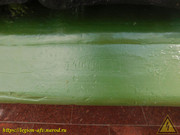 DSCN5238