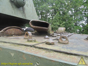 IMG-2545