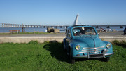 DSC002221.jpg